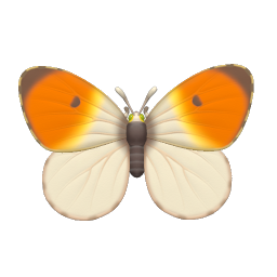 紅襟粉蝶 insect icon