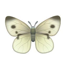 菜粉蝶 insect icon