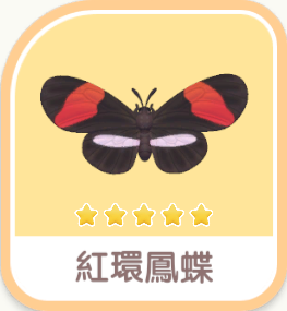紅環鳳蝶 insect icon