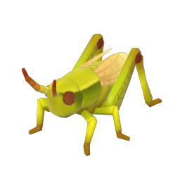 綠洲蝗 insect icon