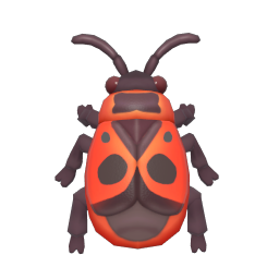 始紅蝽 insect icon