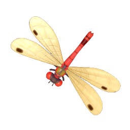 大紅豆娘 insect icon