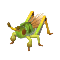 錘腿蝗 insect icon
