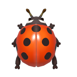 七星瓢蟲 insect icon