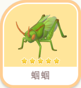 蟈蟈 insect icon