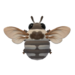 白斑尾梳蜂 insect icon