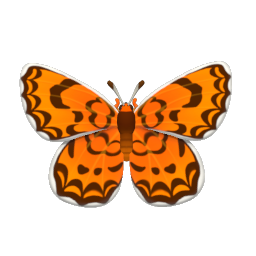 豹紋網蛺蝶 insect icon