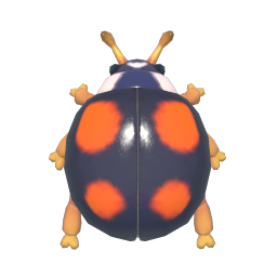 四星瓢蟲 insect icon