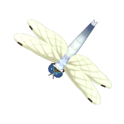 白尾蜻蜓 insect icon
