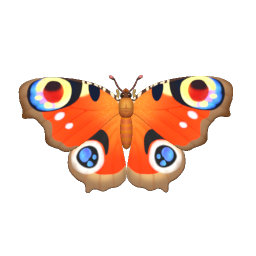 孔雀蛺蝶 insect icon