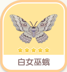白女巫蛾 insect icon