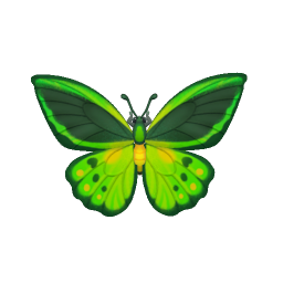綠鳥翼鳳蝶 insect icon