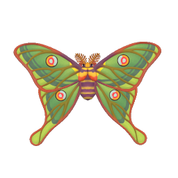 伊莎貝拉蛾 insect icon
