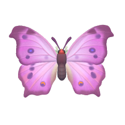 綠貝矩蛺蝶 insect icon