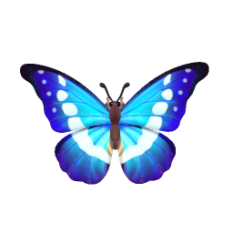 光明女神閃蝶 insect icon