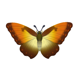 太陽閃蝶 insect icon