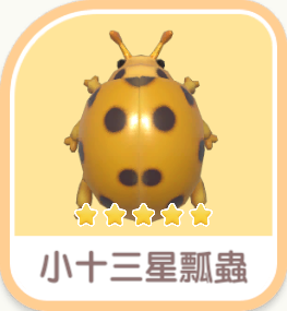 小十三星瓢蟲 insect icon