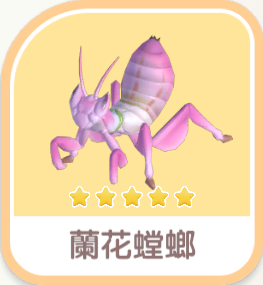 蘭花螳螂 insect icon