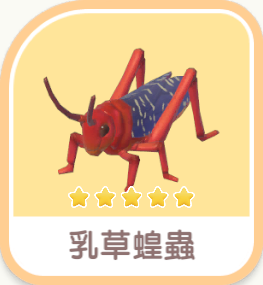 乳草蝗蟲 insect icon