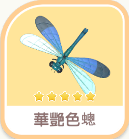 華艷色蟌 insect icon